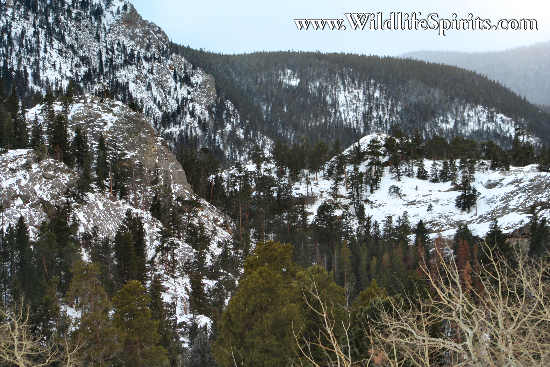 Click Picture to send as an  E-PostCard 61k 550x367